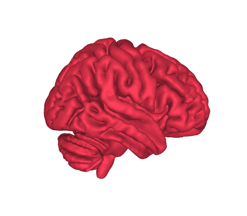 plot volumetric mask as surface